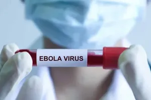 Ministry urges localities to closely monitor Ebola outbreaks